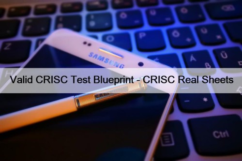 Valid CRISC Test Blueprint - CRISC Real Sheets