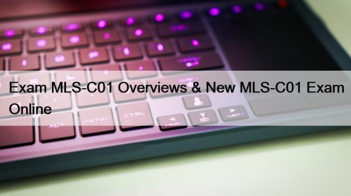 Exam MLS-C01 Overviews & New MLS-C01 Exam Online